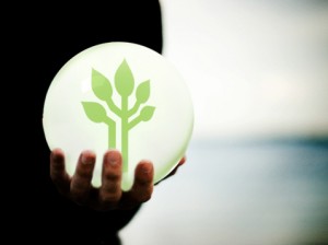 IT RoadMap Business Intelligence