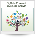 Bigdata Powered Business Growth