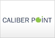 Caliber Point (India)