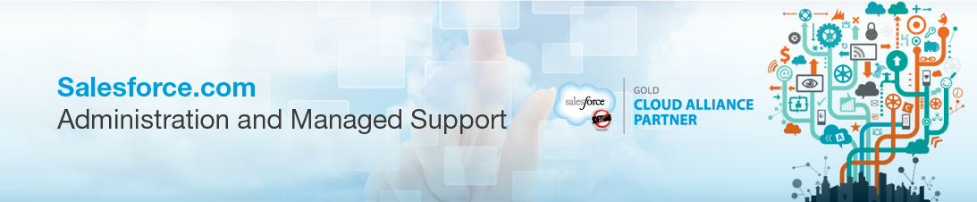 Salesforce.com Administration and Managed Support